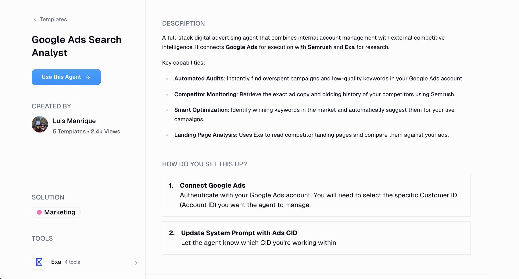 Google Ads agent